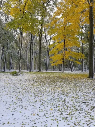 Ron Clark Park - Yorkville, IL