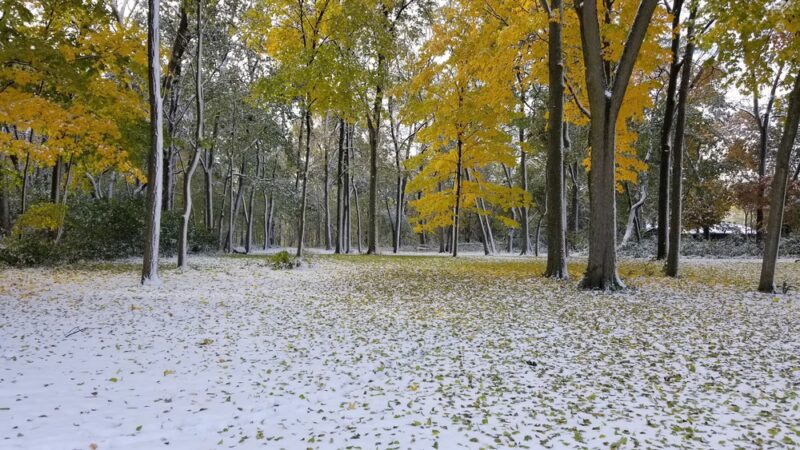 Ron Clark Park - Yorkville, IL