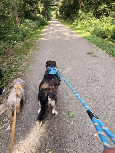 Rotary Park - Yorkville, IL