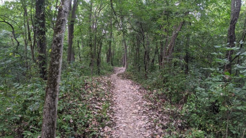 Saw Wee Kee Park - Yorkville, IL