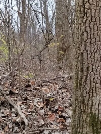Saw Wee Kee Park - Yorkville, IL