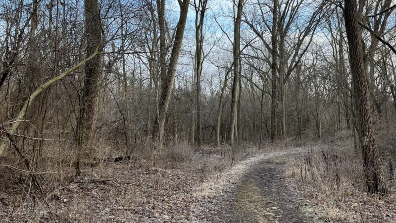 Saw Wee Kee Park - Yorkville, IL