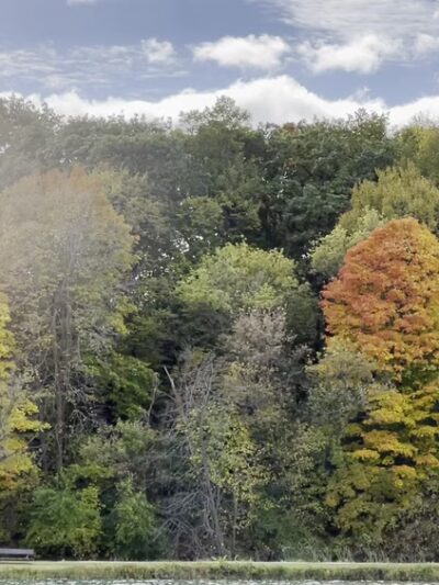Silver Springs State Fish and Wildlife Area - Yorkville, IL