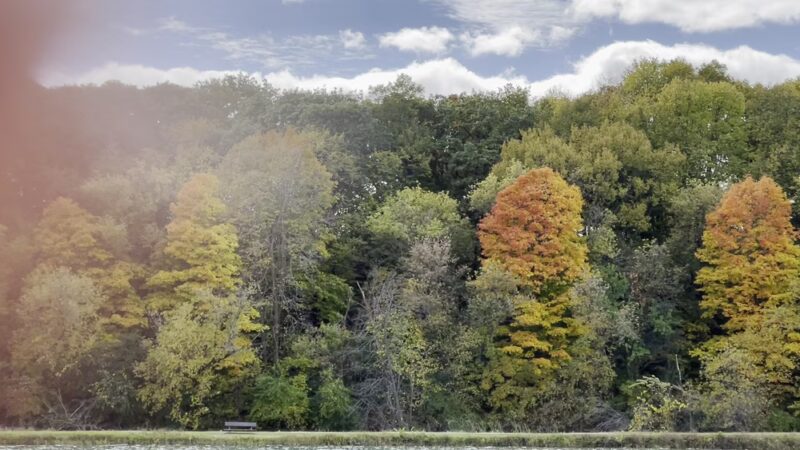 Silver Springs State Fish and Wildlife Area - Yorkville, IL