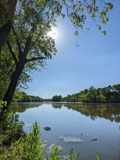 Silver Springs State Fish and Wildlife Area - Yorkville, IL