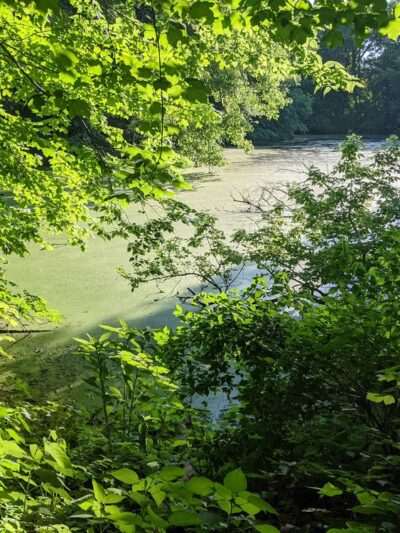 Silver Springs State Fish and Wildlife Area - Yorkville, IL