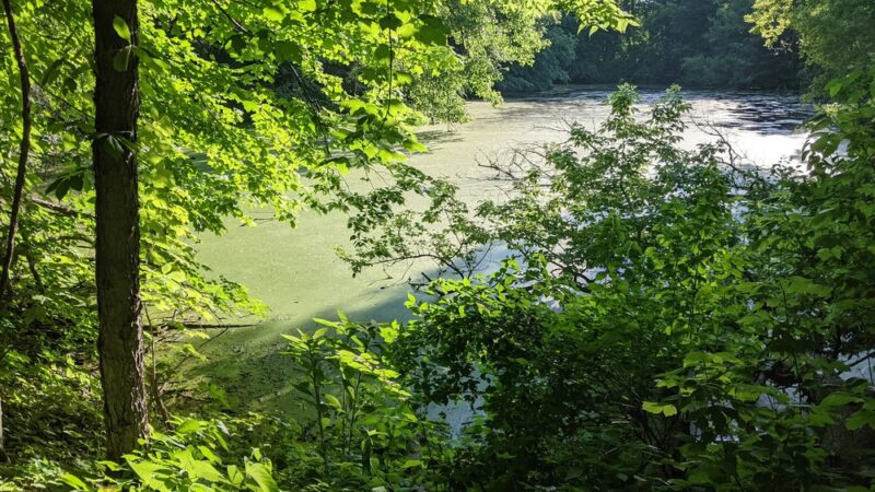 Silver Springs State Fish and Wildlife Area - Yorkville, IL