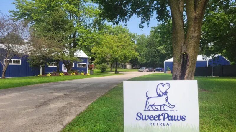 Sweet Paws Retreat - Yorkville, IL