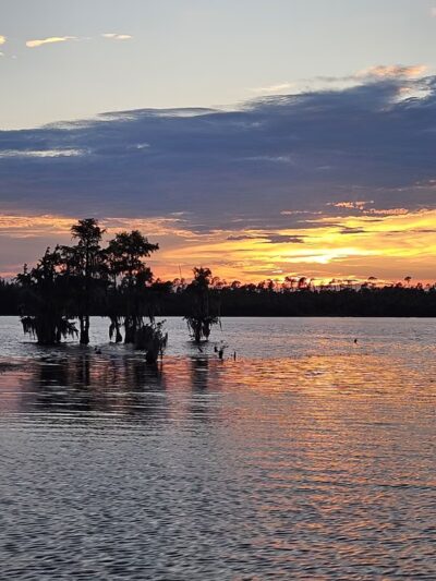David W Hutchison Park - Youngstown, FL