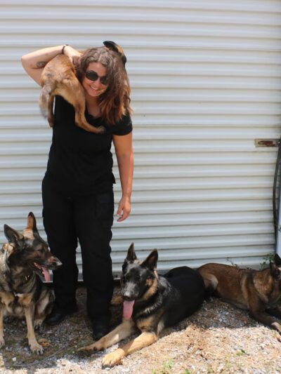The Dog Trainers - Youngstown, FL