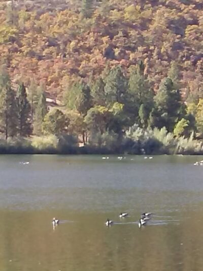 Greenhorn Reservoir - Yreka, CA