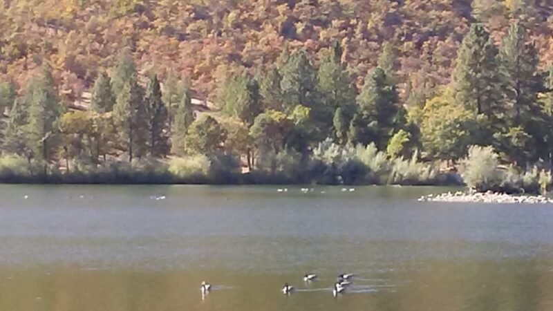 Greenhorn Reservoir - Yreka, CA