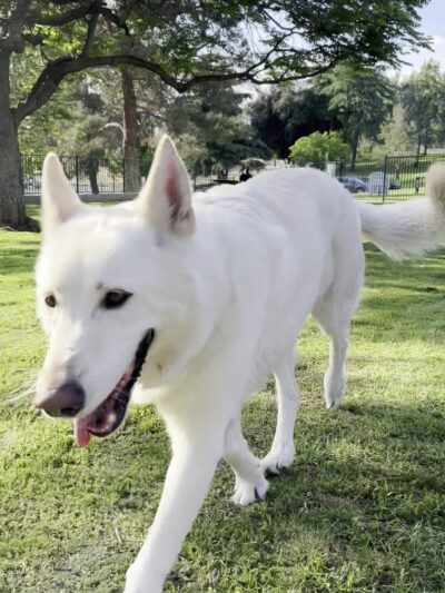 7th Street Park - Yucaipa, CA