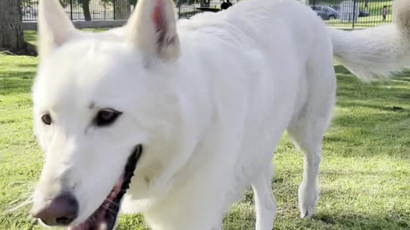 7th Street Park - Yucaipa, CA