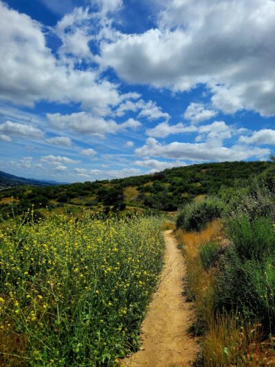 Grape Ave Trail - Yucaipa, CA