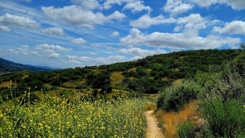 Grape Ave Trail - Yucaipa, CA