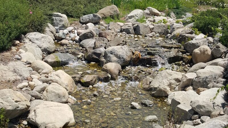John Tooker Civic Park - Yucaipa, CA