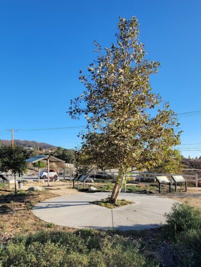 Wildwood Basin Park - Yucaipa, CA