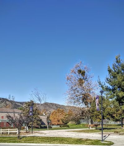 Yucaipa Community Park - Yucaipa, CA