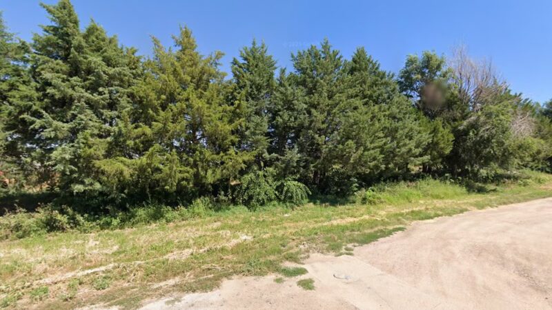 Wolf Park - Yuma, CO