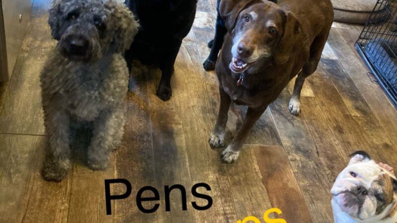 Doggofit - Zelienople, PA