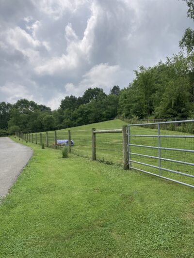 Doggofit - Zelienople, PA