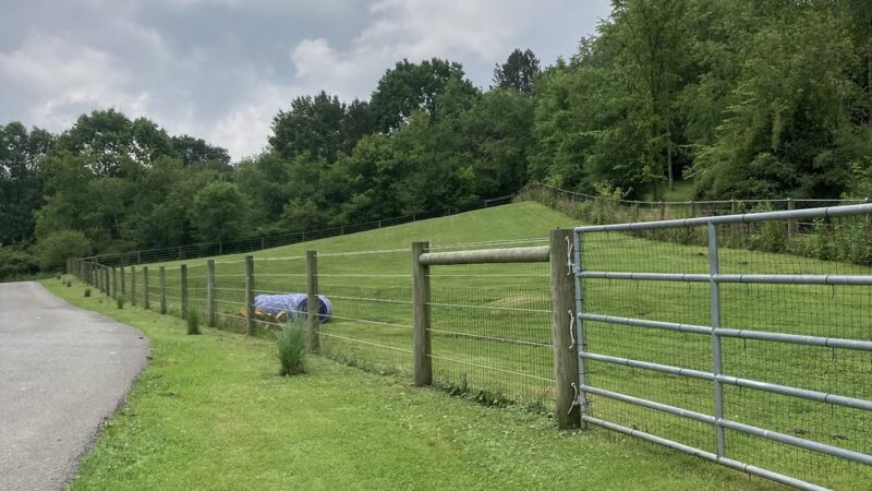 Doggofit - Zelienople, PA