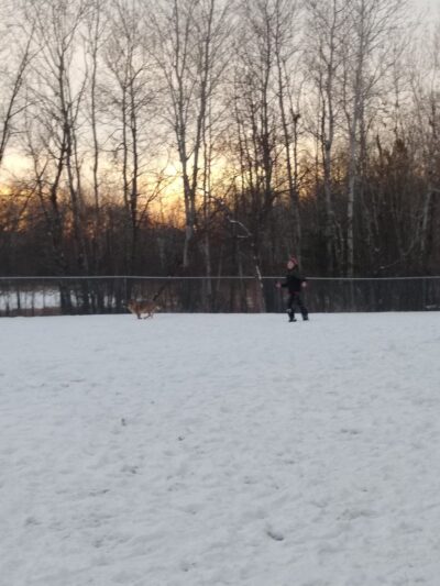 Fire Fighters Park - Zimmerman, MN