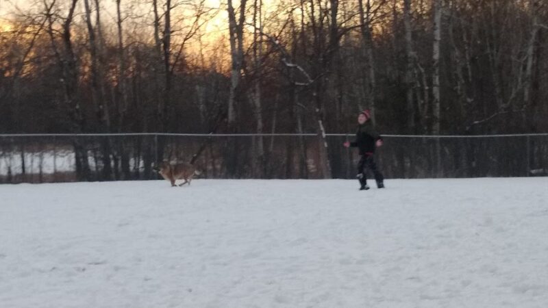 Fire Fighters Park - Zimmerman, MN