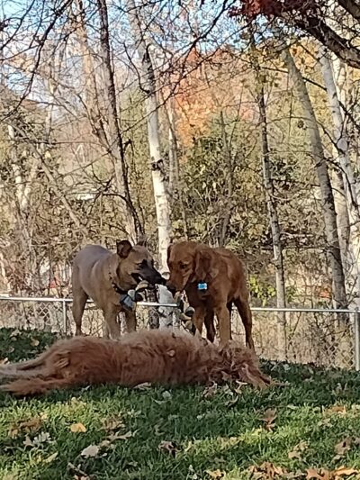 Fire Fighters Park - Zimmerman, MN