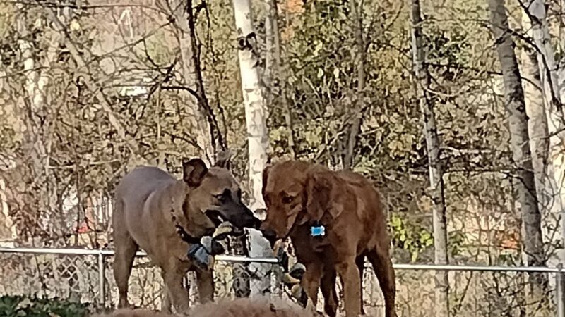 Fire Fighters Park - Zimmerman, MN