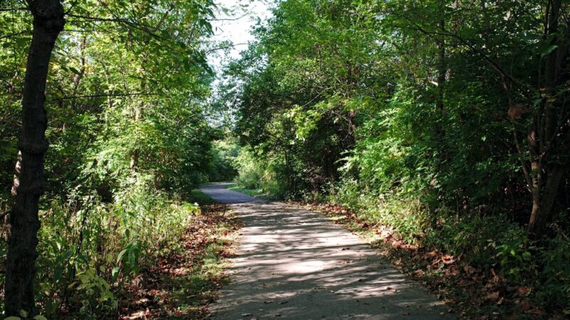 Creekside Nature Park - Zionsville, IN