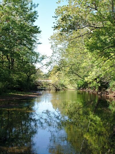 Creekside Nature Park - Zionsville, IN