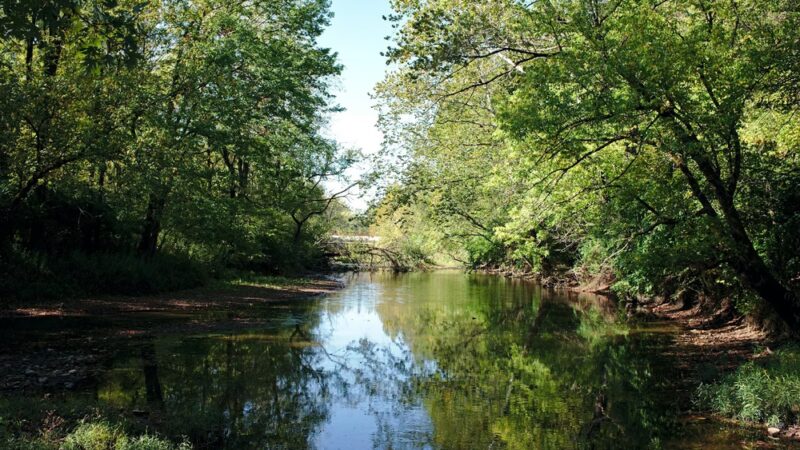 Creekside Nature Park - Zionsville, IN