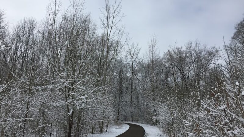Creekside Nature Park - Zionsville, IN