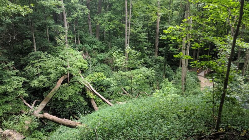 Starkey Park - Zionsville, IN