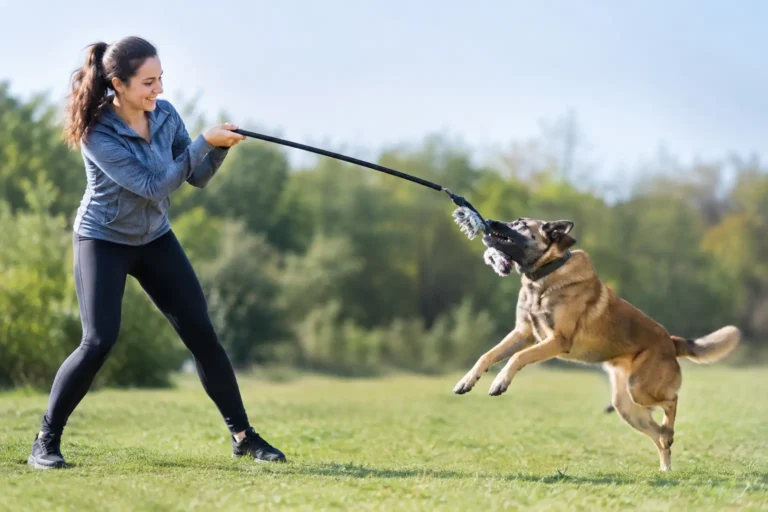 How to Use a Flirt Pole Safely With Your Dog